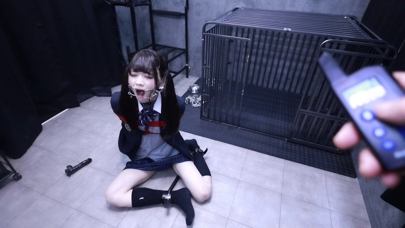Lemon-043 制服電気首輪 (Uniform Electric Collar)