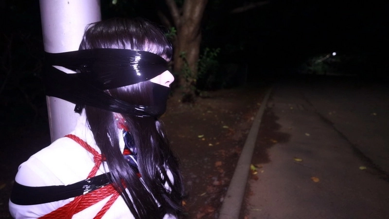 Lemon-050 野外散歩 (Outdoor Walk)